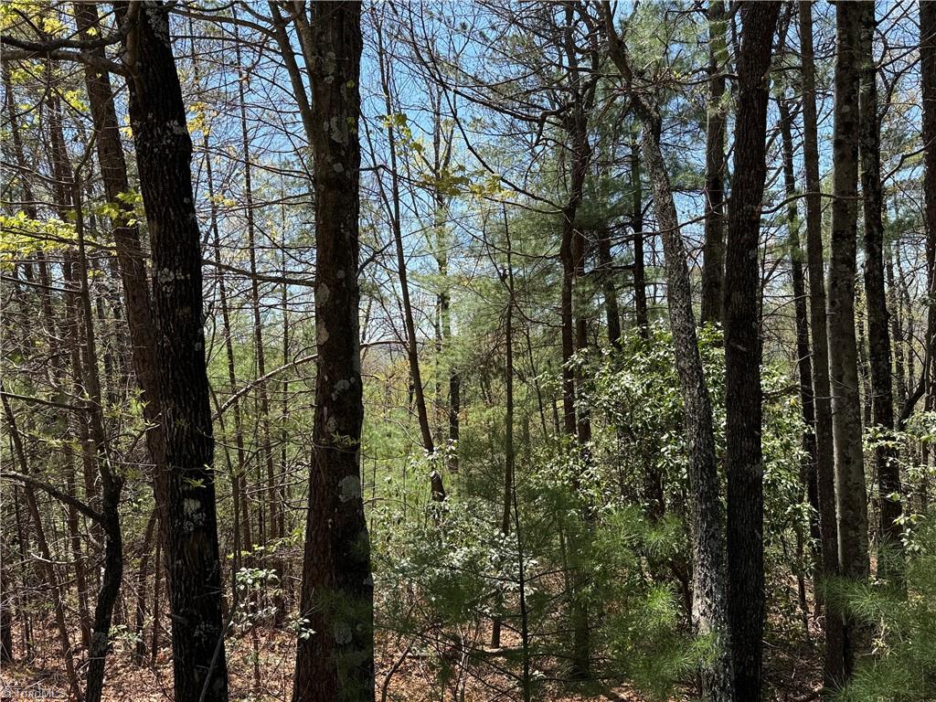 Lot 213 Casey Mountain Road, Purlear, North Carolina image 13