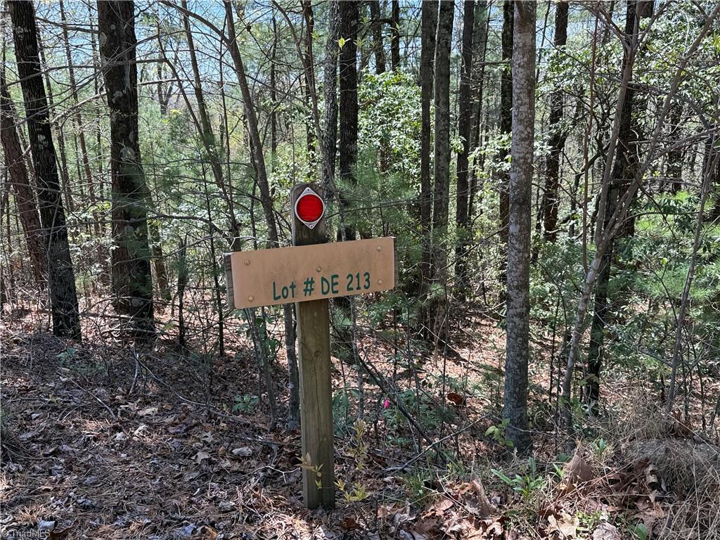Lot 213 Casey Mountain Road, Purlear, North Carolina image 3