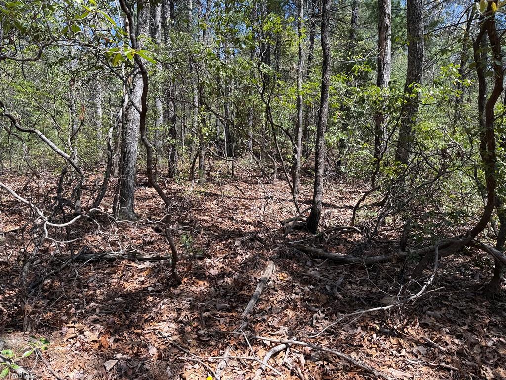 Lot 213 Casey Mountain Road, Purlear, North Carolina image 9