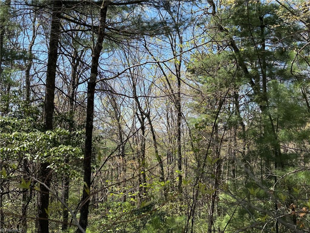 Lot 213 Casey Mountain Road, Purlear, North Carolina image 14