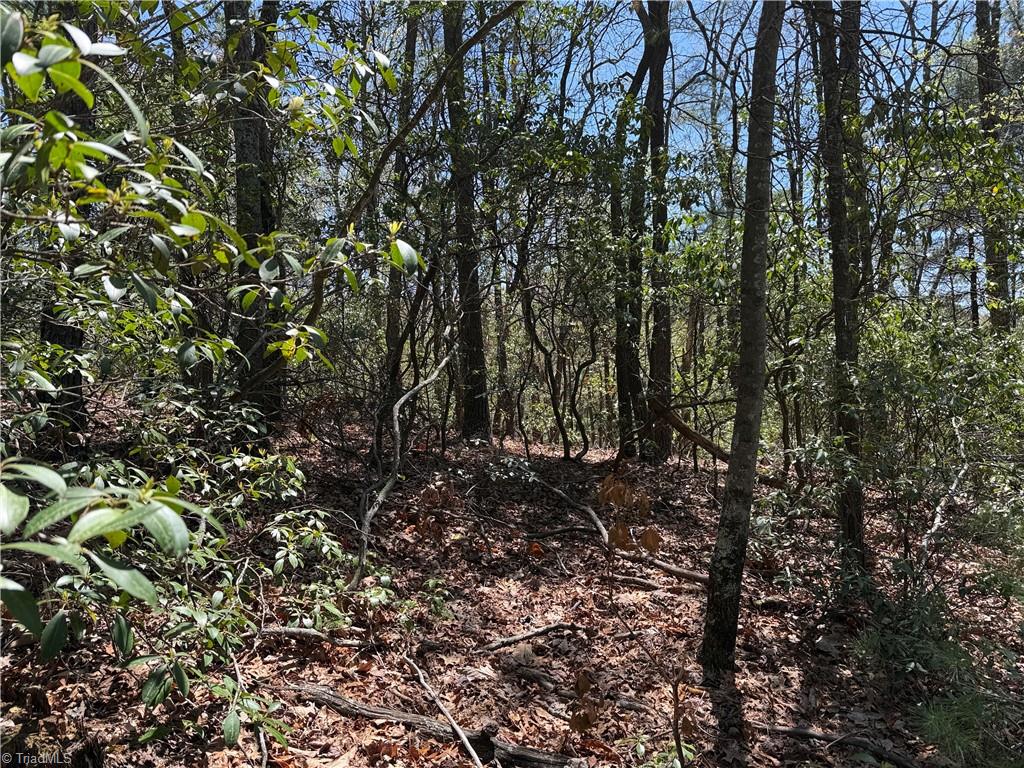 Lot 213 Casey Mountain Road, Purlear, North Carolina image 8