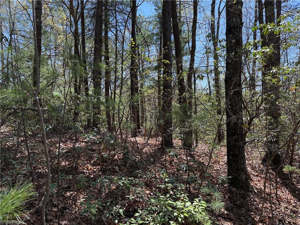 Lot 213 Casey Mountain Road, Purlear, North Carolina image 11