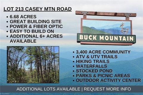Vacant Land For Sale - LOT 213 Casey Mountain Road<br/> Purlear, NC 28665