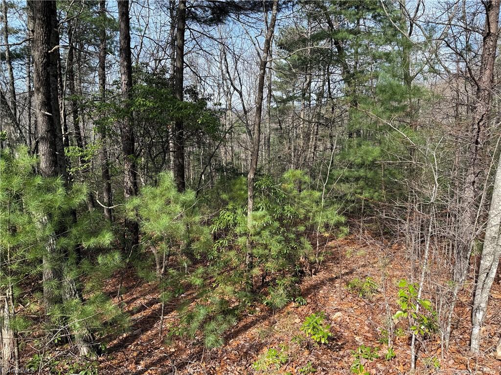 Lot 213 Casey Mountain Road, Purlear, North Carolina image 5