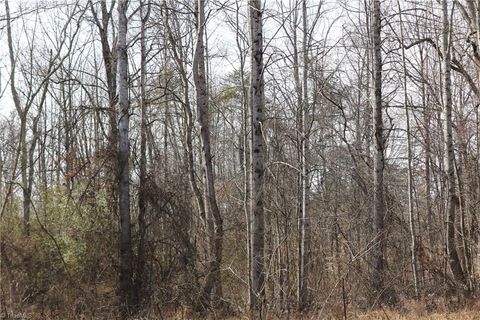 Vacant Land For Sale - Jones Chapel Road<br/> Rockingham County, Reidsville, NC 27320