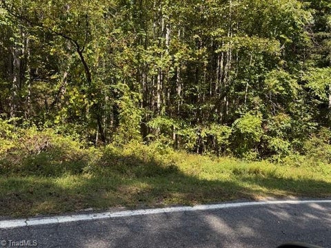 Vacant Land For Sale - 4 Arlie Myers Store Road<br/> McGrady, NC 28649
