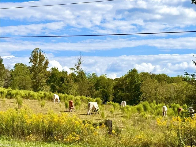 6254 Nc Highway 268, photo 5 of 49