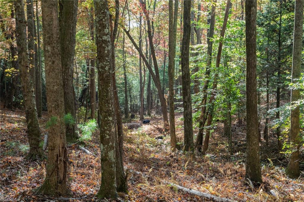 TBD Old Campground Road, Millers Creek, North Carolina image 45