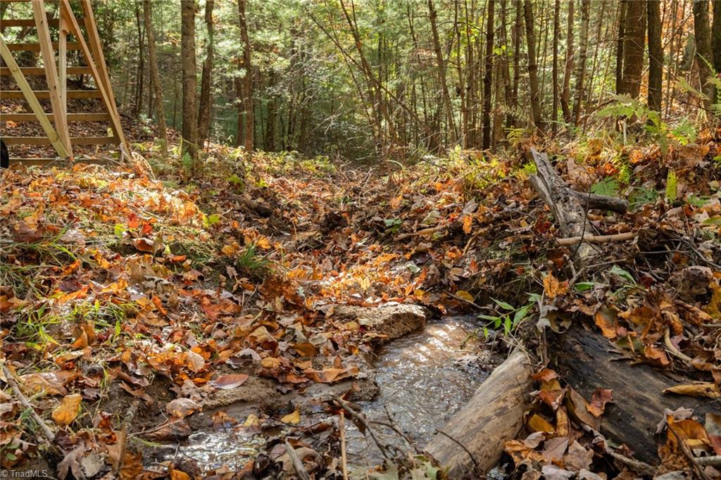 TBD Old Campground Road, Millers Creek, North Carolina image 16