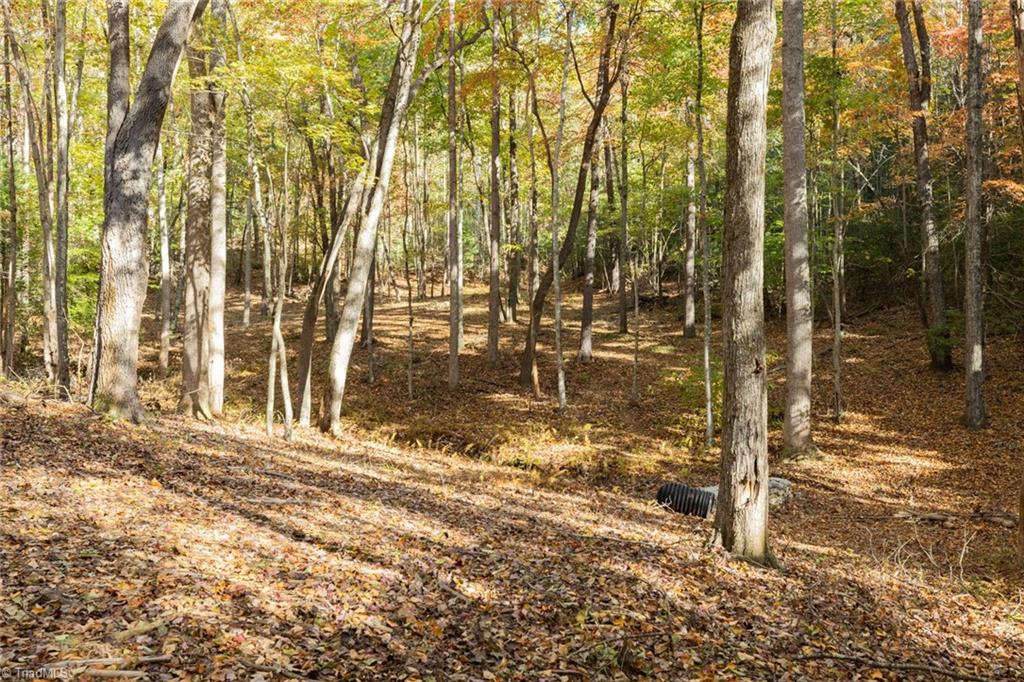 TBD Old Campground Road, Millers Creek, North Carolina image 40