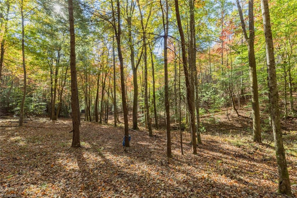 TBD Old Campground Road, Millers Creek, North Carolina image 2