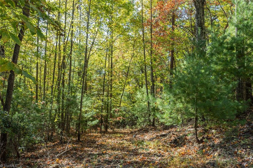 TBD Old Campground Road, Millers Creek, North Carolina image 4