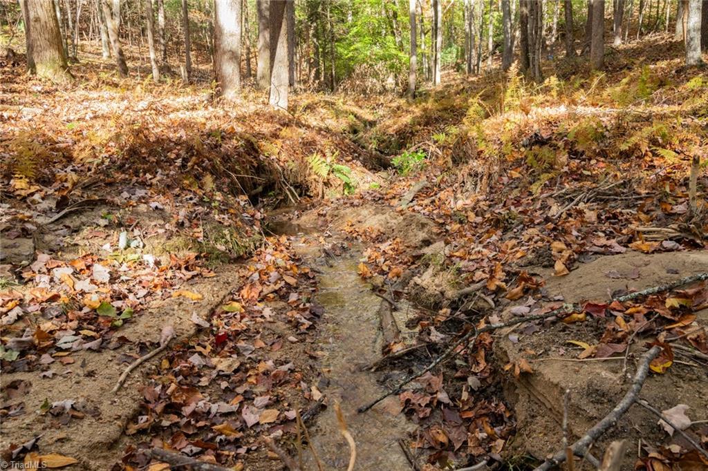 TBD Old Campground Road, Millers Creek, North Carolina image 5