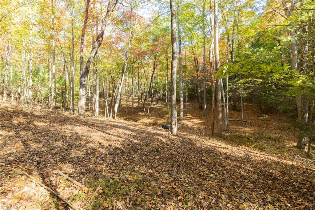 TBD Old Campground Road, Millers Creek, North Carolina image 43