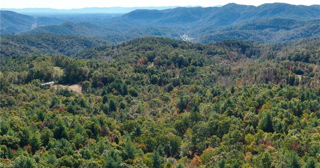 TBD Old Campground Road, Millers Creek, North Carolina image 46