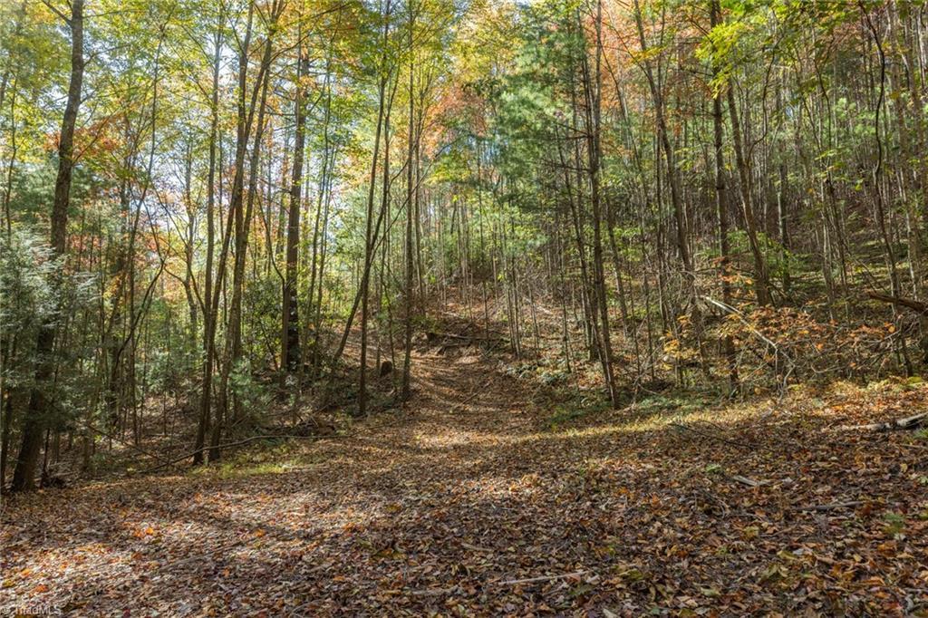 TBD Old Campground Road, Millers Creek, North Carolina image 33