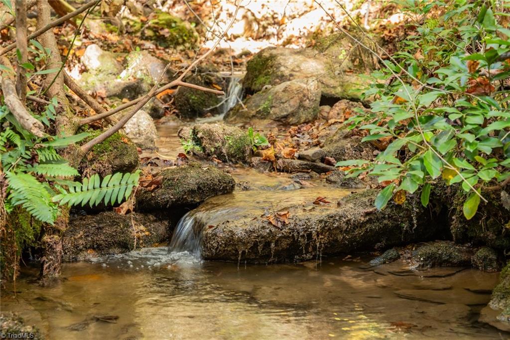 TBD Old Campground Road, Millers Creek, North Carolina image 9