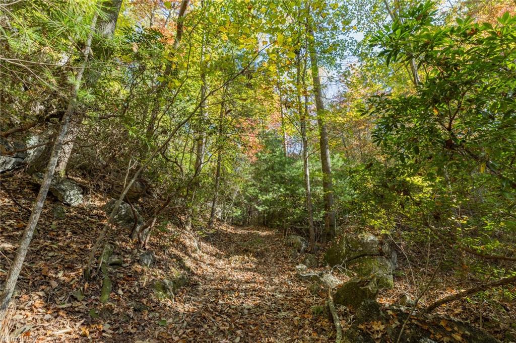 TBD Old Campground Road, Millers Creek, North Carolina image 44