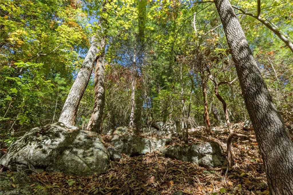 TBD Old Campground Road, Millers Creek, North Carolina image 41