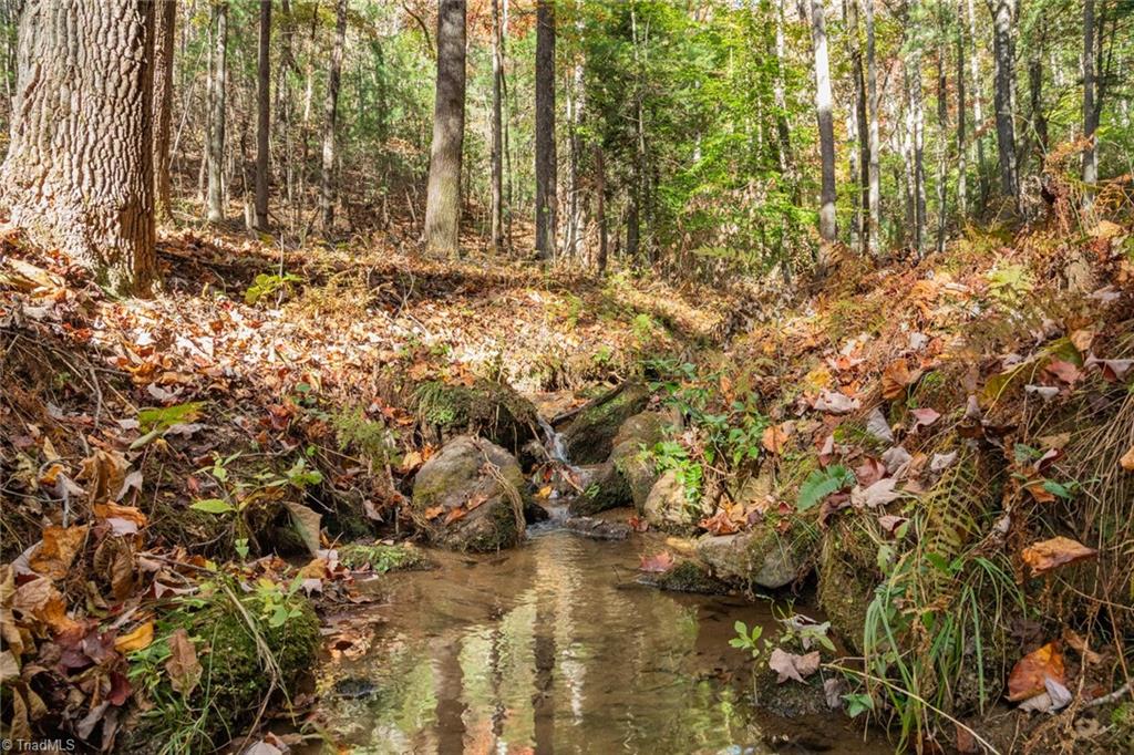 TBD Old Campground Road, Millers Creek, North Carolina image 14