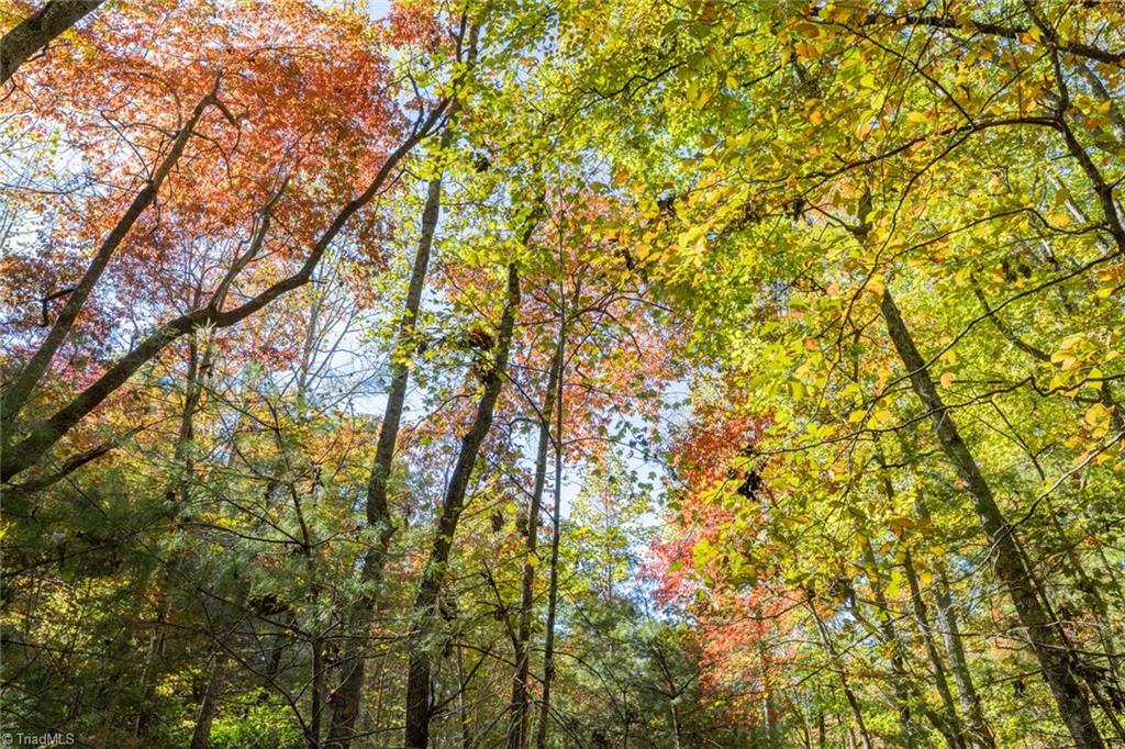 TBD Old Campground Road, Millers Creek, North Carolina image 31