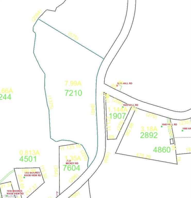 7.99 Acres Mickey Road, Westfield, North Carolina image 4