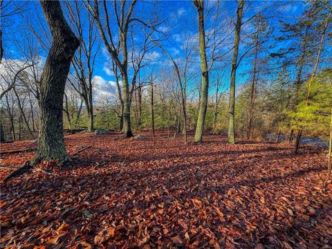 Homes For Sale - 338 Sierra Trace Road<br/> Denton, NC 27239