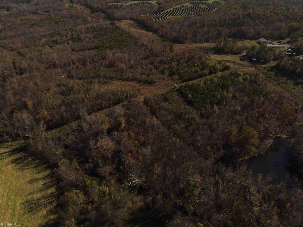 1982 Wolf Island Road, Reidsville, North Carolina image 6