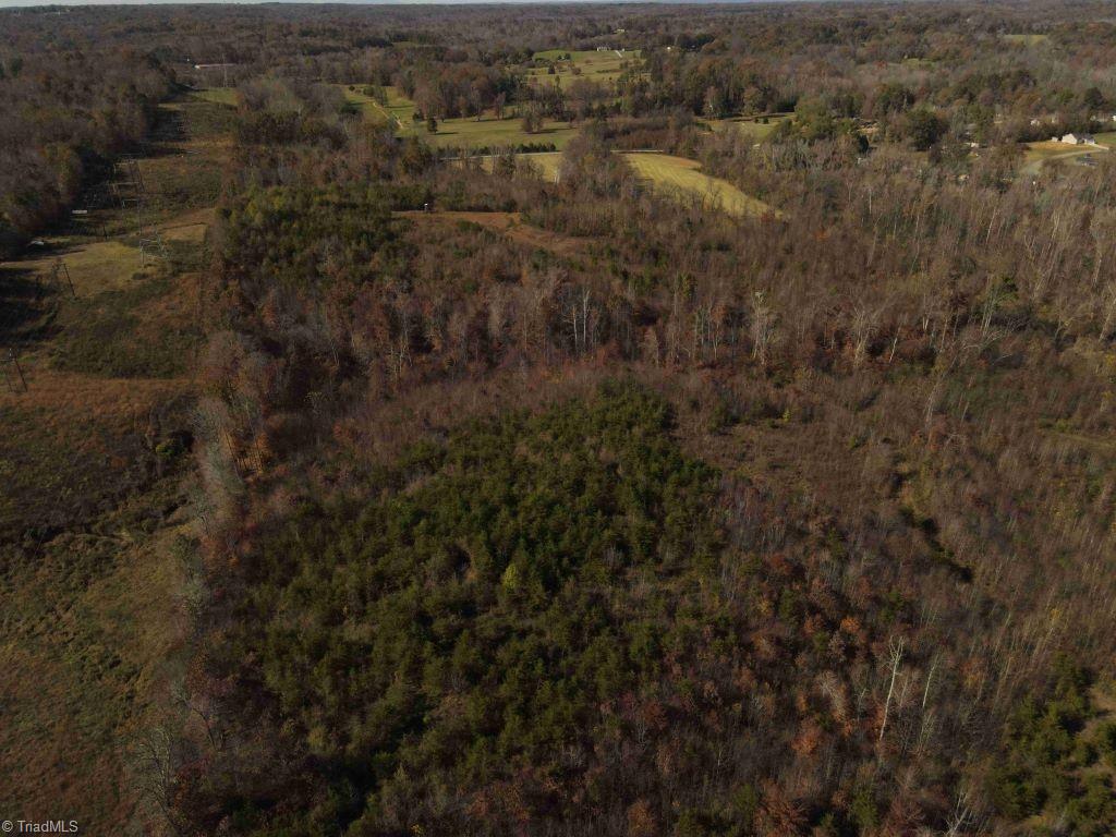 1982 Wolf Island Road, Reidsville, North Carolina image 13