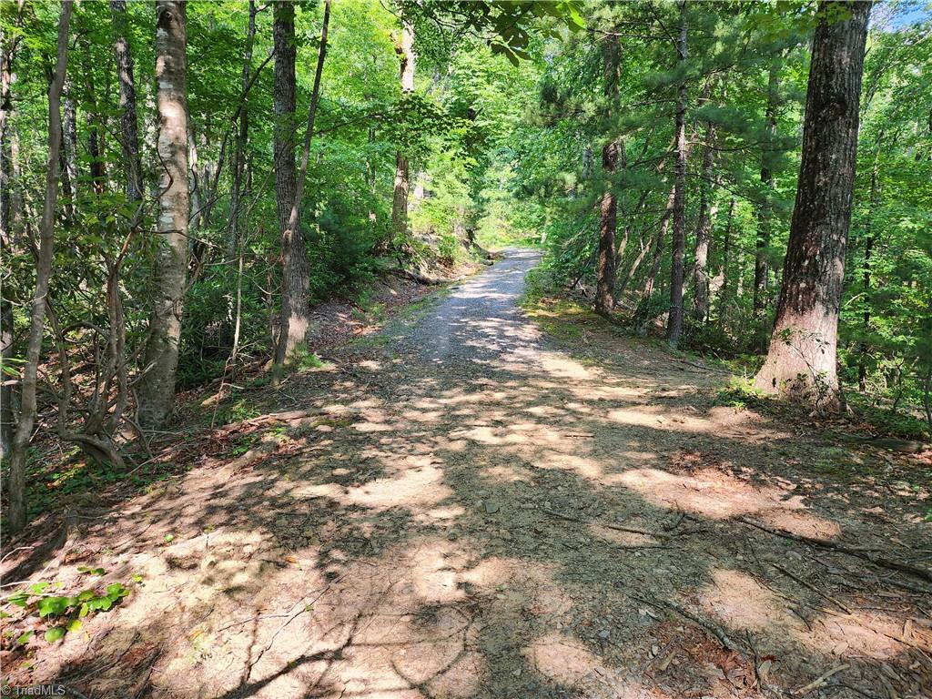 000 Mountain Vista Drive, McGrady, North Carolina image 9