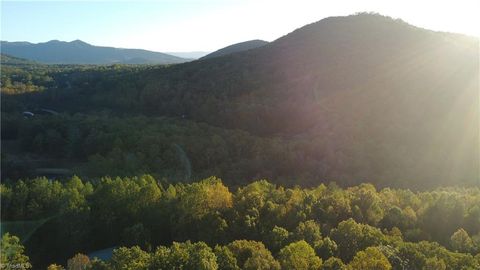 Vacant Land For Sale - TBD Fisher Peak Trail<br/> Lowgap, NC 27024