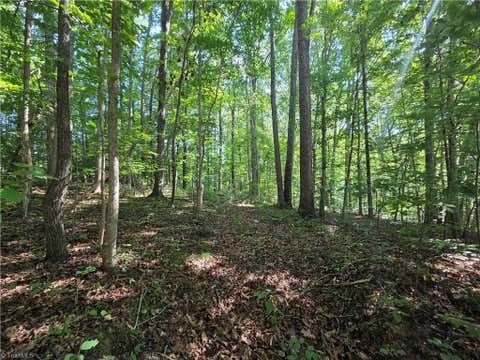 Vacant Land For Sale - LOT 1 Pin Tail Drive<br/> Rockingham County, Reidsville, NC 27320