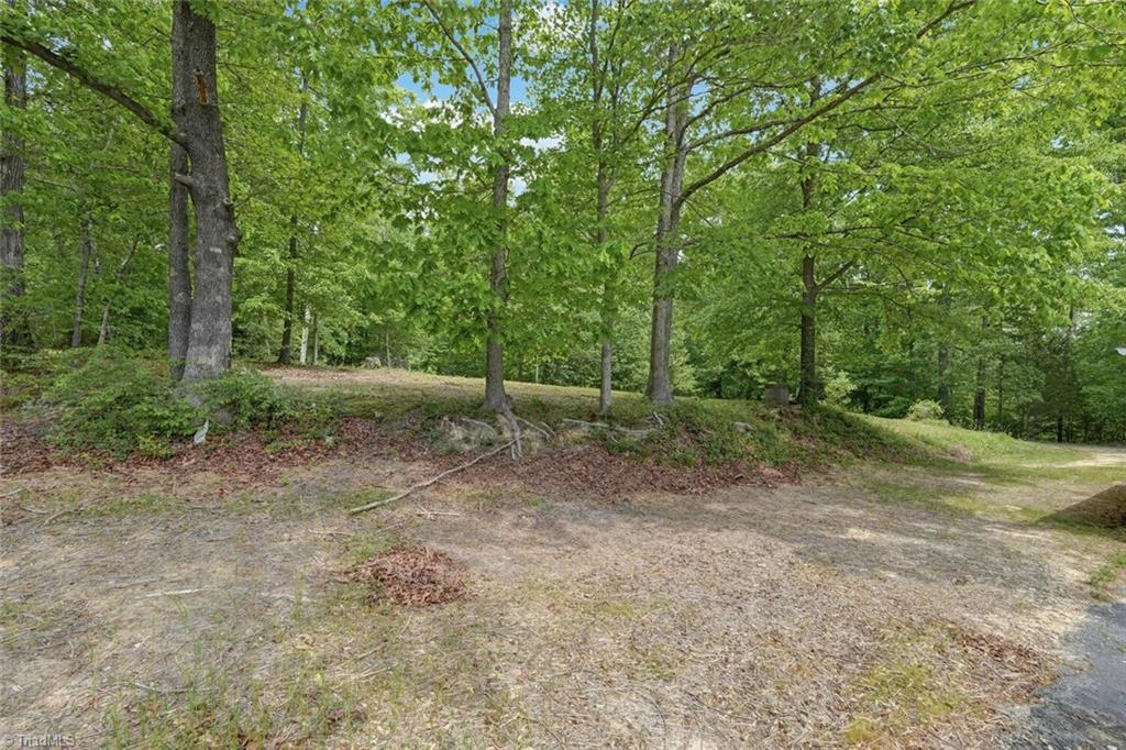 2892 Nc Highway 700, Pelham, North Carolina image 25