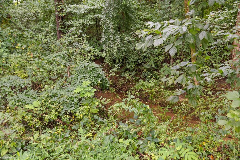 Yadkinville, North Carolina 27055, United States, 3 Bedrooms Bedrooms, ,2 BathroomsBathrooms,Residential,Active,173011