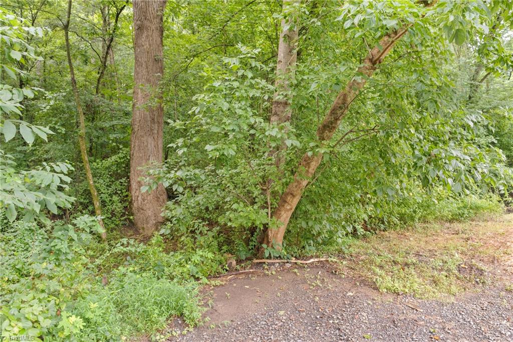 Yadkinville, North Carolina 27055, United States, 3 Bedrooms Bedrooms, ,2 BathroomsBathrooms,Residential,Active,173011