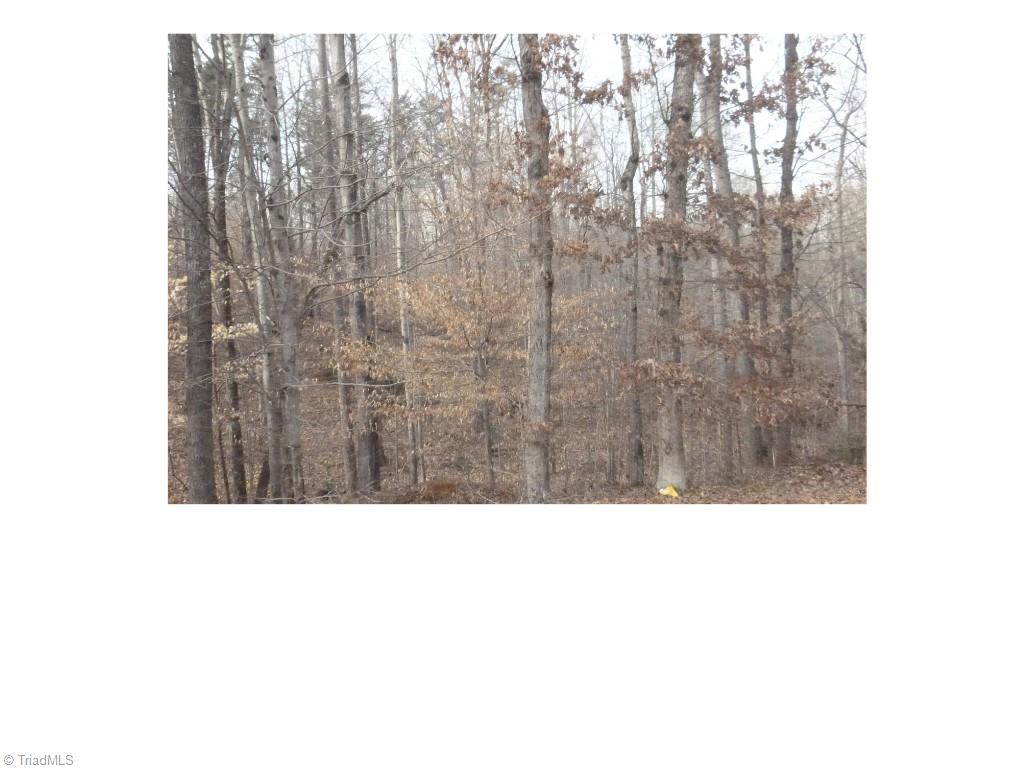 00 Mountview Drive, Pelham, North Carolina image 4