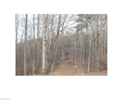 00 MOUNTVIEW DRIVE, PELHAM, NC 27311 - Image c02df61a8d67fd45dbf3fe32a1766ce1/3493298582
