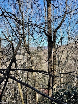 LOT E-15 LAUREL RIDGE ROAD, BANNER ELK, NC 28604 - Image c03b1dacff45ca7a91e85486cfb2a278/4062128082