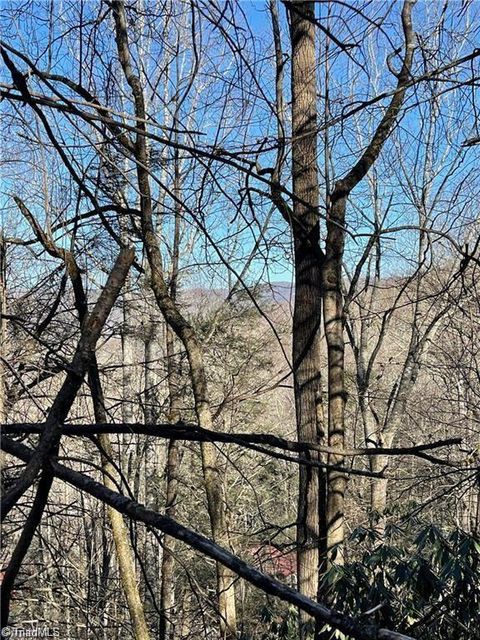 Vacant Land For Sale - LOT E-15 Laurel Ridge Road<br/> Banner Elk, NC 28604