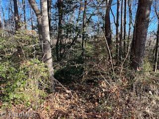 Lot 5 Stevens Drive, Jonesville, North Carolina image 4