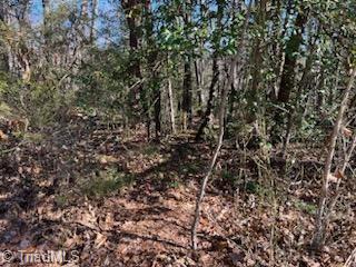 Lot 5 Stevens Drive, Jonesville, North Carolina image 5