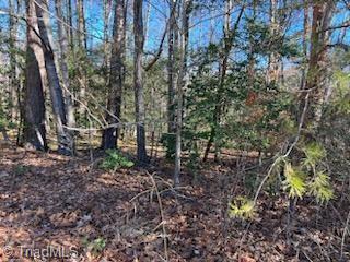 Lot 5 Stevens Drive, Jonesville, North Carolina image 6