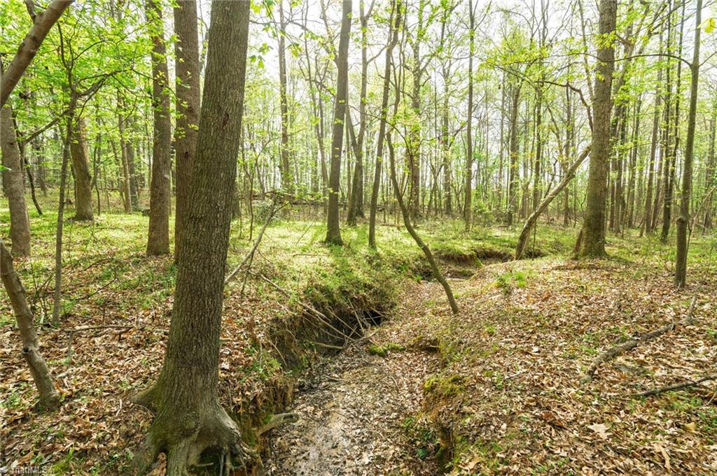 5552 Osceola Ossipee Road, Browns Summit, North Carolina image 18