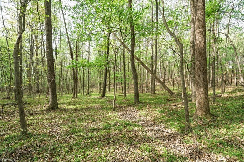 5552 Osceola Ossipee Road, Browns Summit, North Carolina image 20