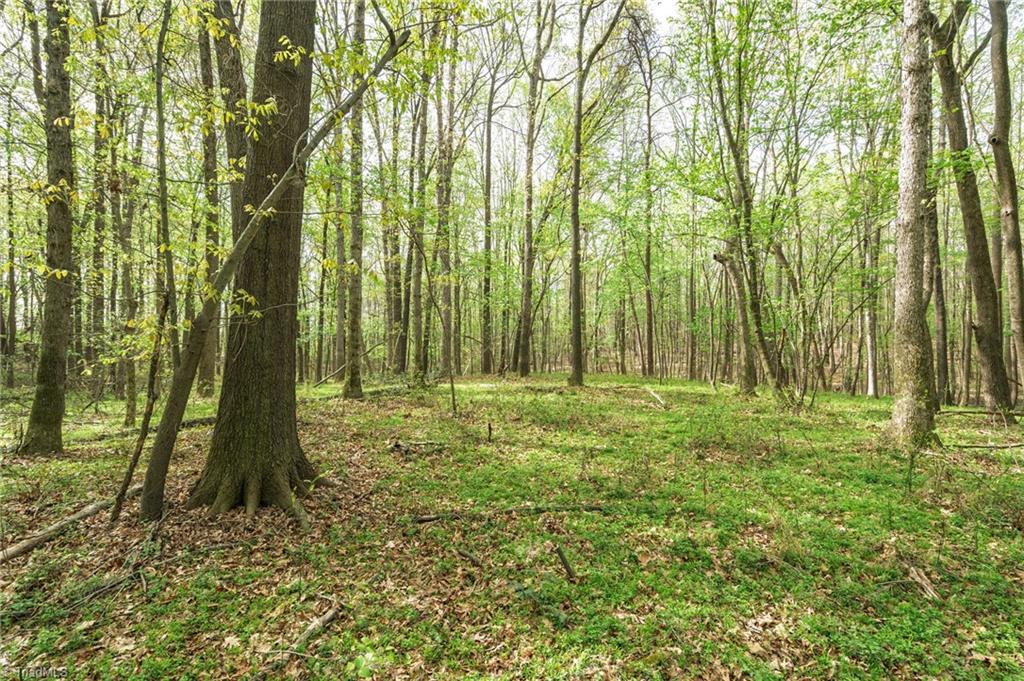 5552 Osceola Ossipee Road, Browns Summit, North Carolina image 17
