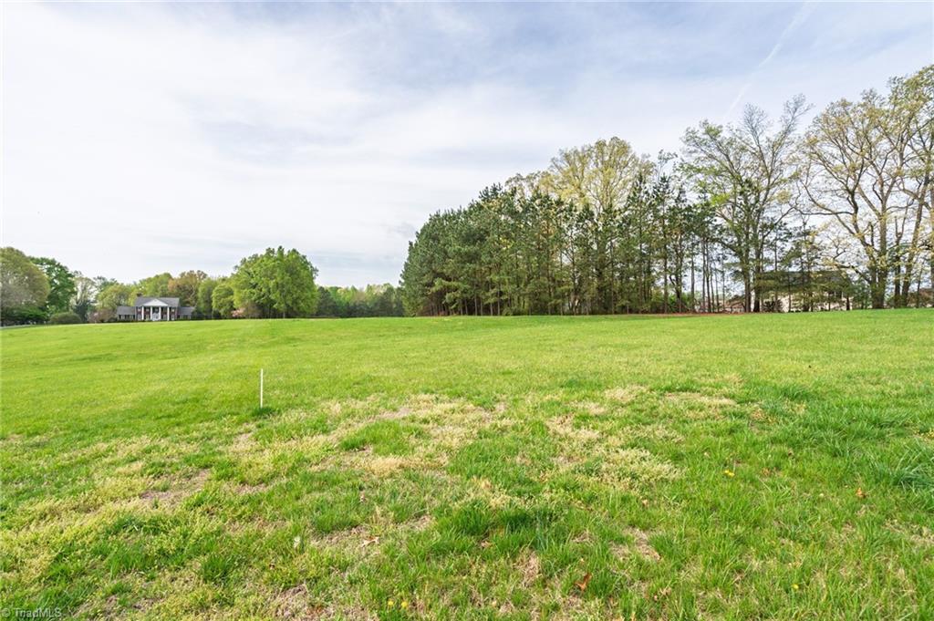 5552 Osceola Ossipee Road, Browns Summit, North Carolina image 6