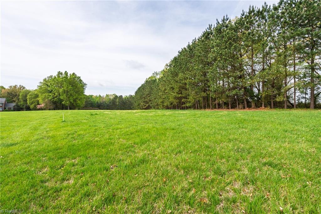5552 Osceola Ossipee Road, Browns Summit, North Carolina image 8