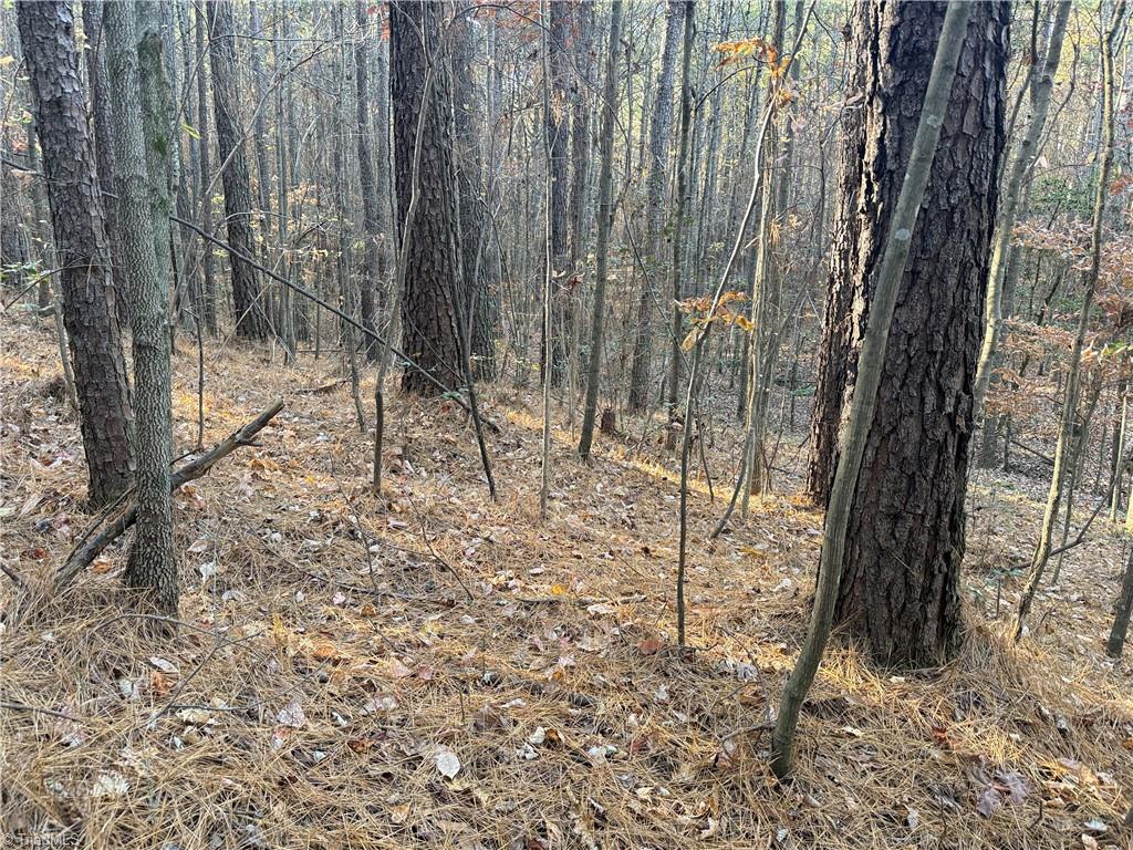 19.6 acres Willie Road