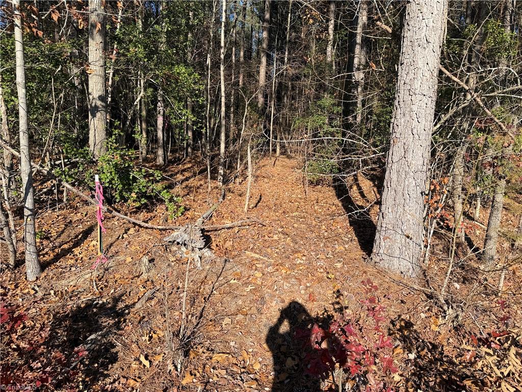 19.6 acres Willie Road