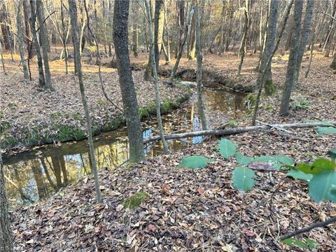 19.6 acres Willie Road Seagrove NC 27341